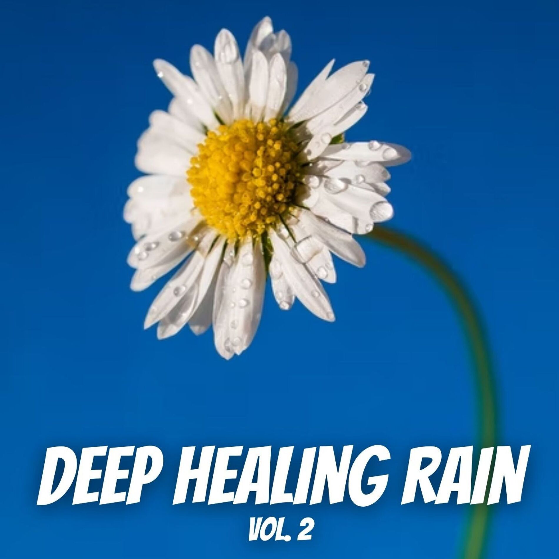 Album cover of Deep Healing Rain Vol. 2