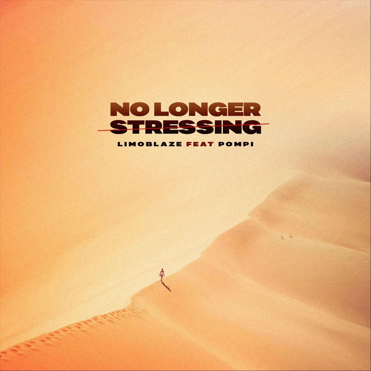 Album cover of No Longer Stressing