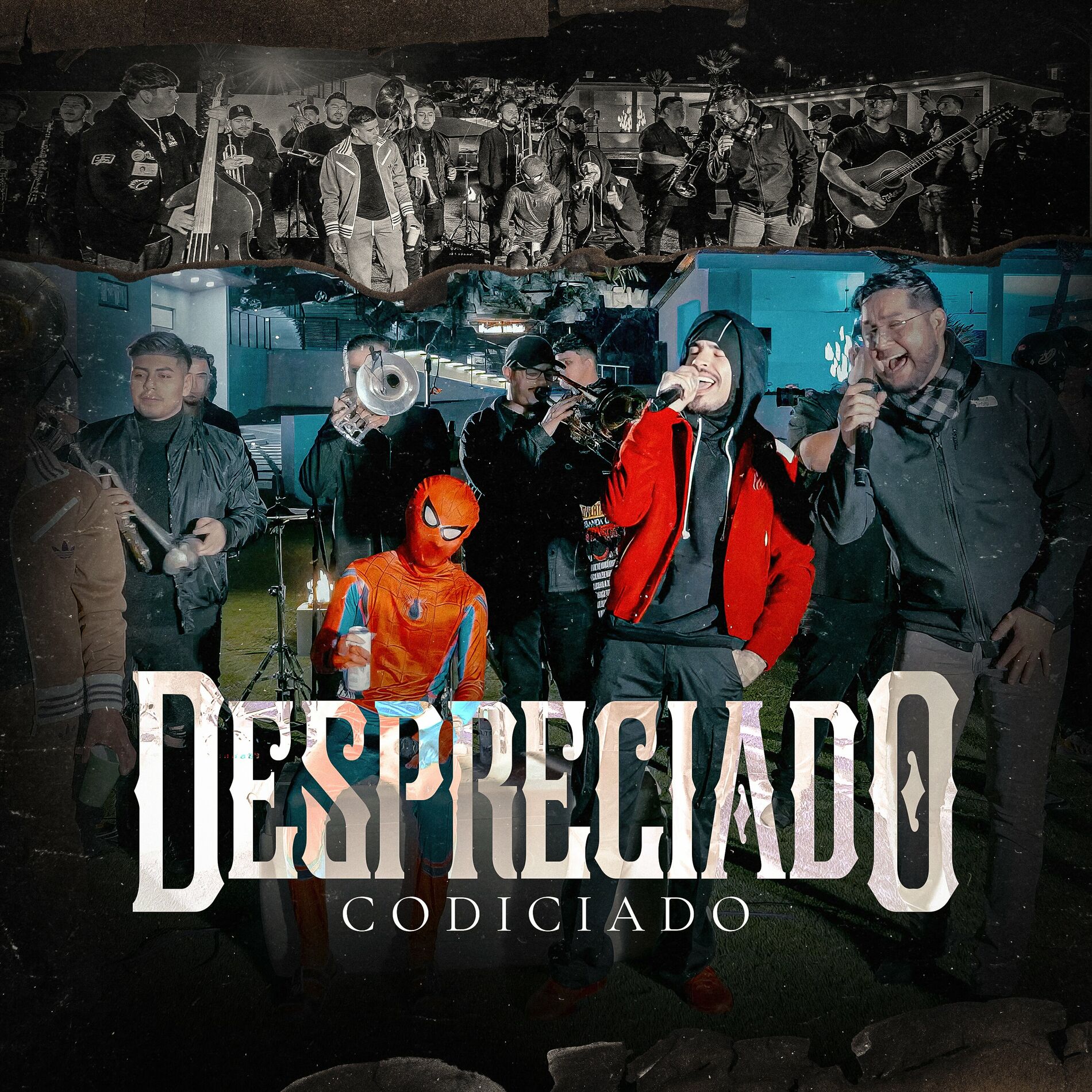 Album cover of Despreciado