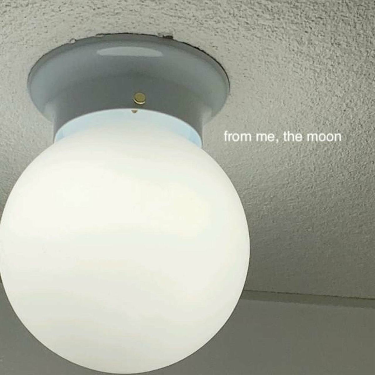 Album cover of From Me, the Moon