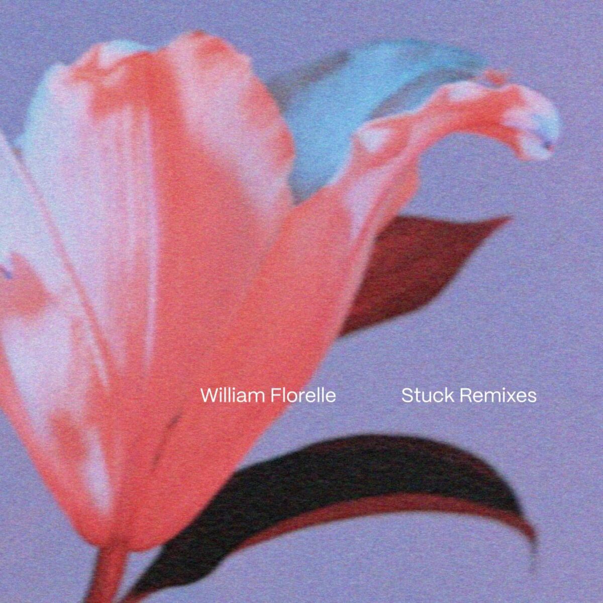 Album cover of Stuck (Remixes)