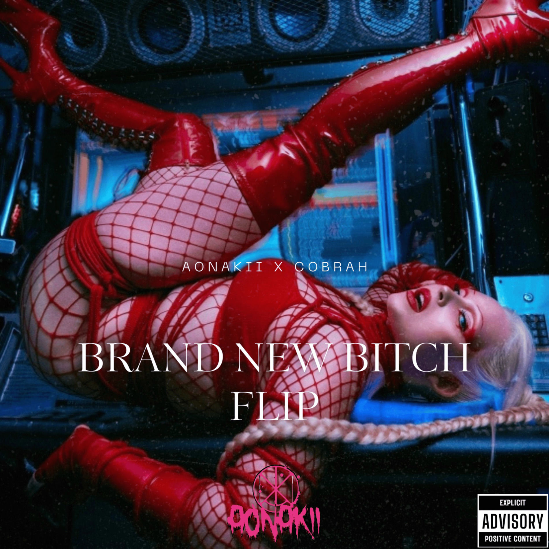 Album cover of BRAND NEW BITCH (Flip)