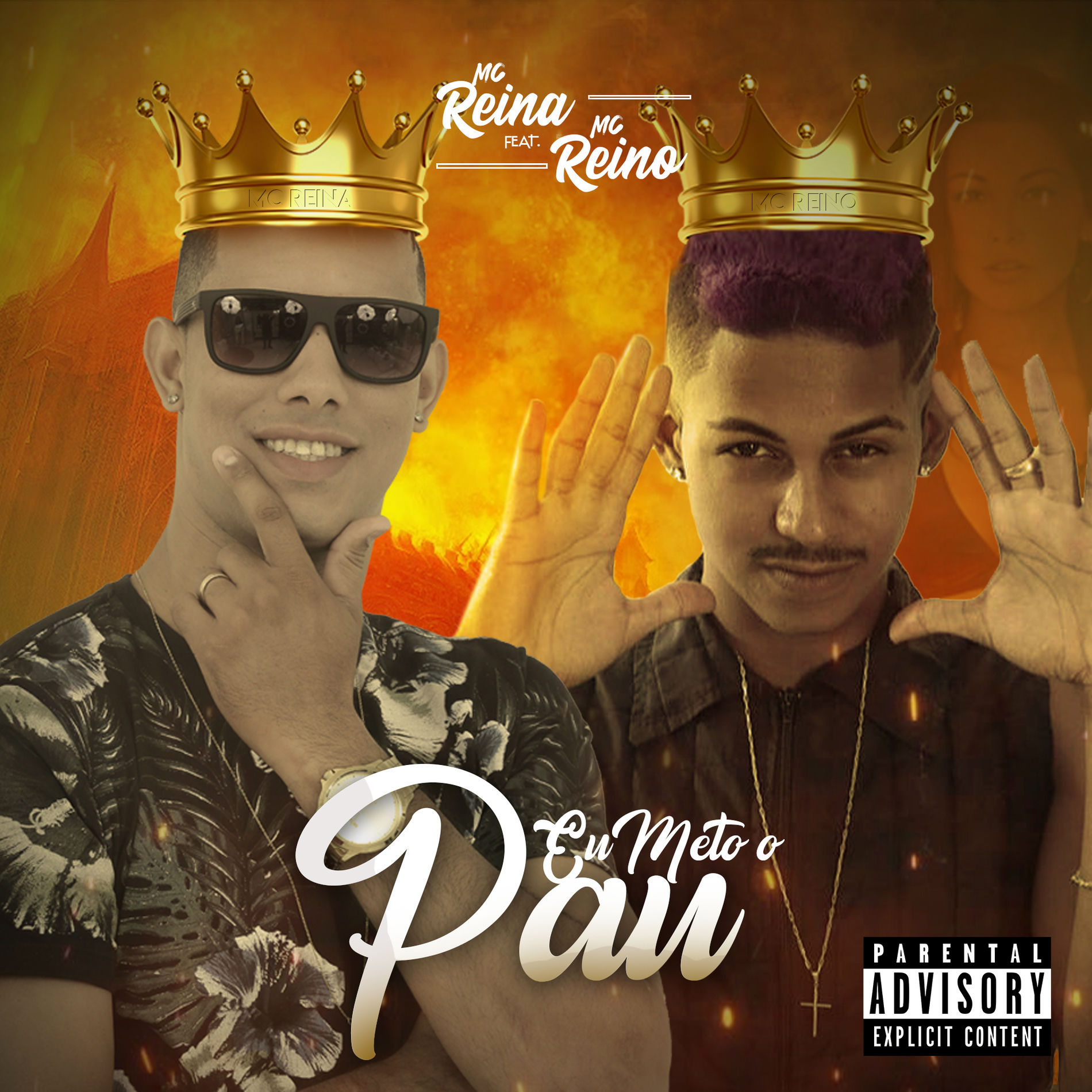 Album cover of Eu Meto o Pau