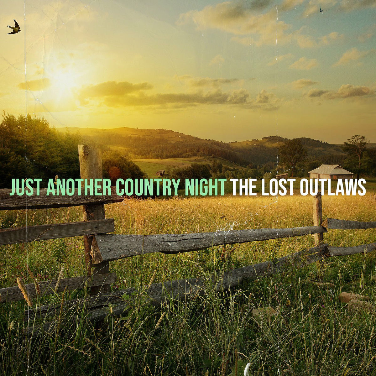 Album cover of Just Another Country Night