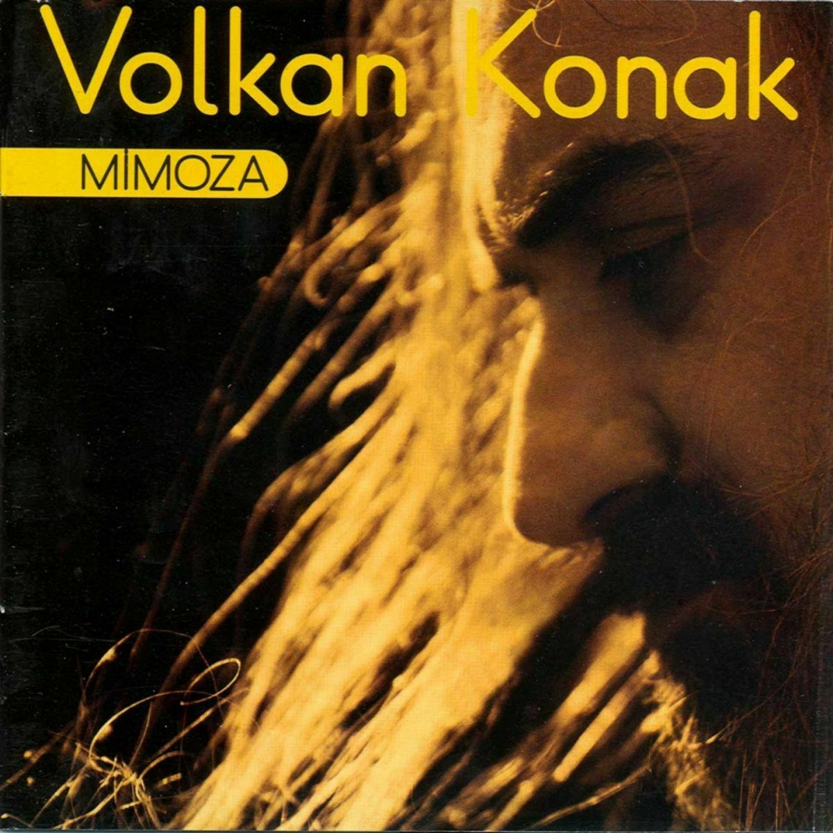 Album cover of Keklik Gibi