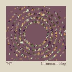 Camosun Bog