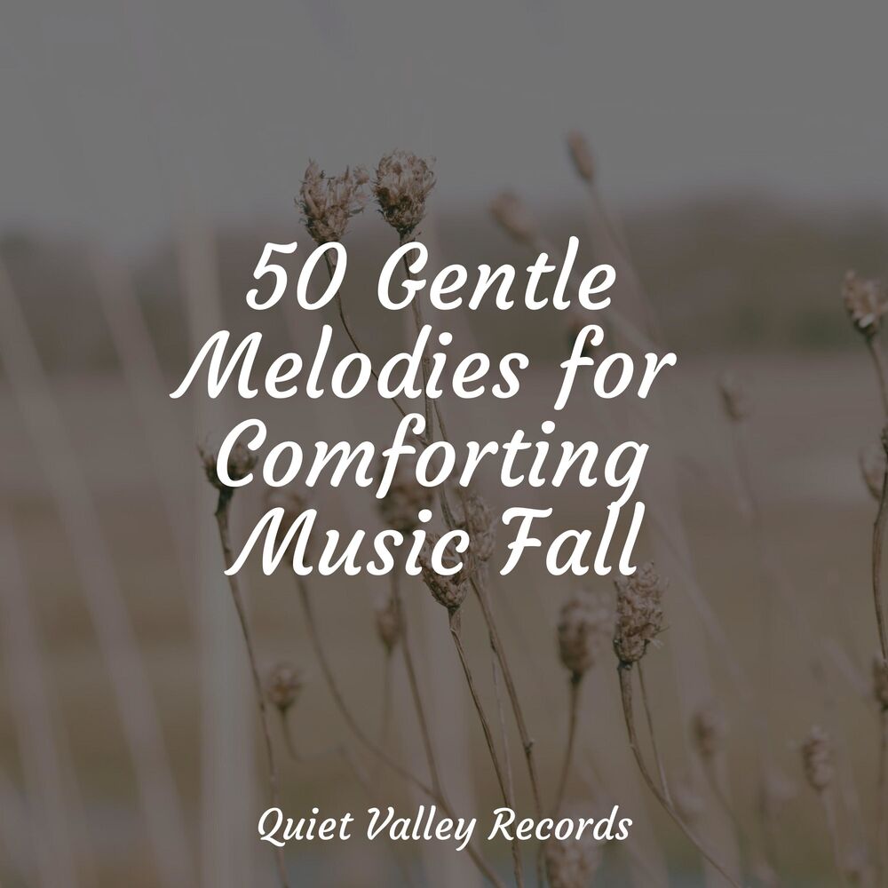 Picture of 50 Gentle Melodies for Comforting Music Fall