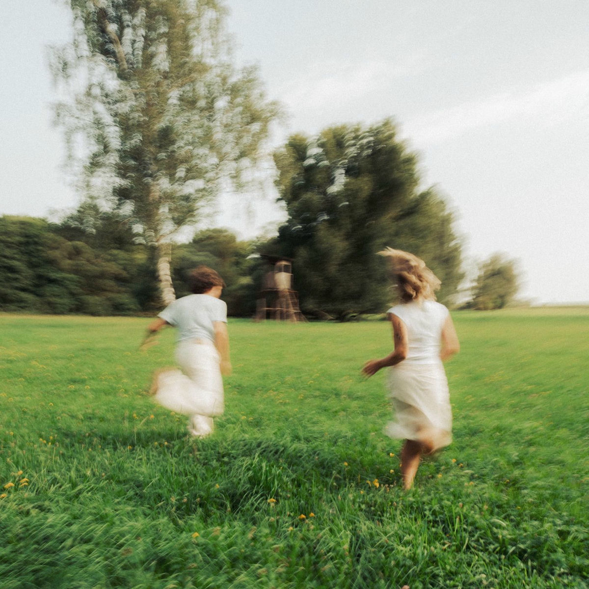 Album cover of Leih mir deine Tränen