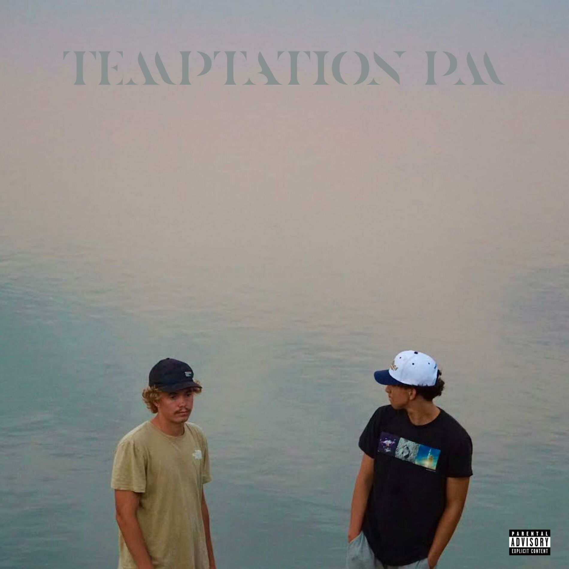 Album cover of Temptation PM