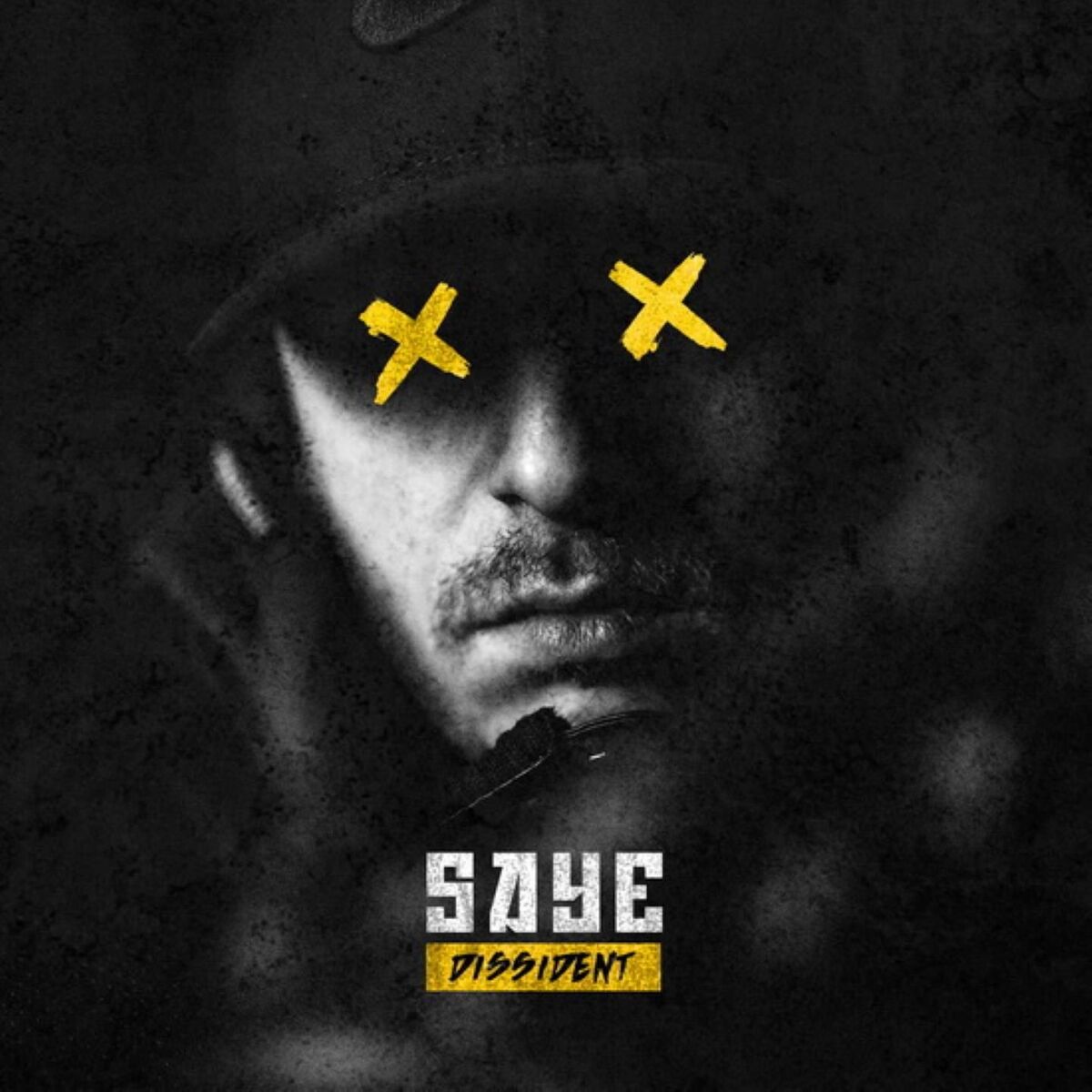 Album cover of Dissident