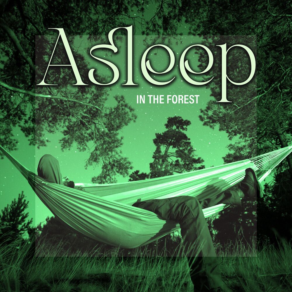 Picture of Asleep in the Forest (Celtic Music 2021)