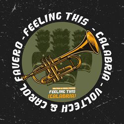 Cover of Feeling This (Calabria)