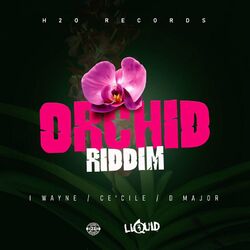Cover of Orchid Riddim