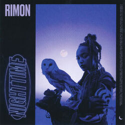 Cover of Nighttime