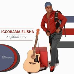 Cover of Angifuni Lutho