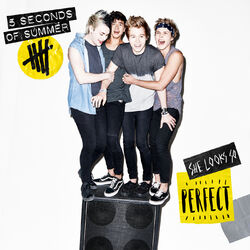Cover of She Looks So Perfect