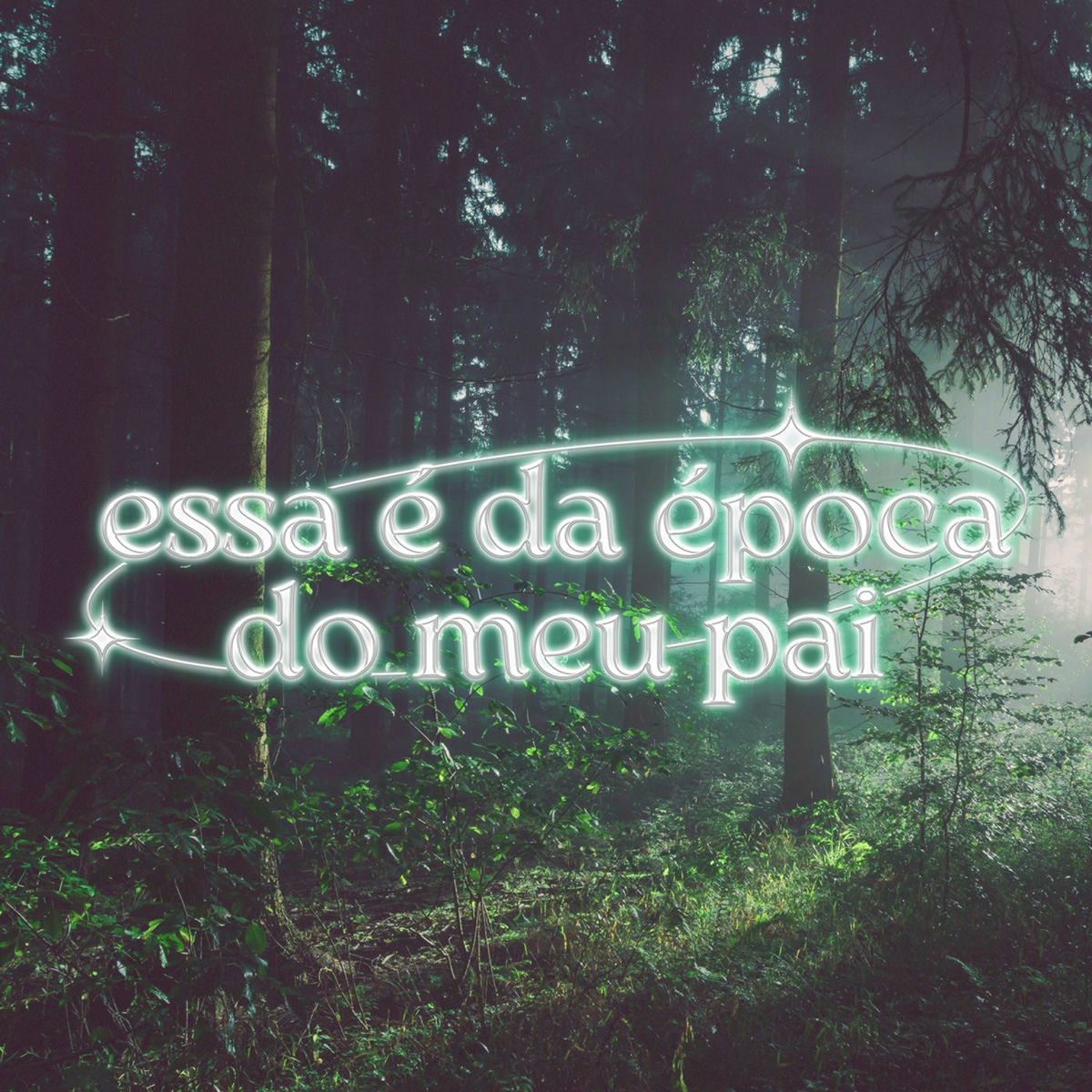 Album cover of essa é da época do meu pai