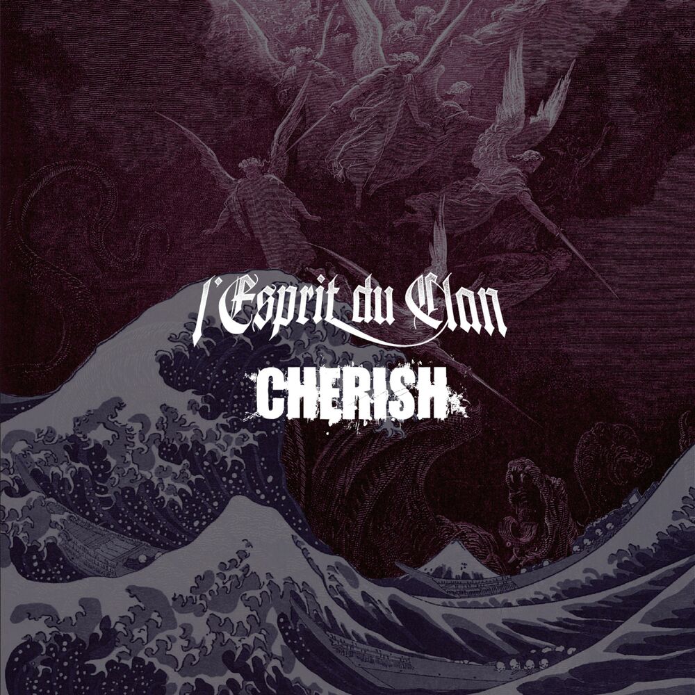 Picture of Ep Split