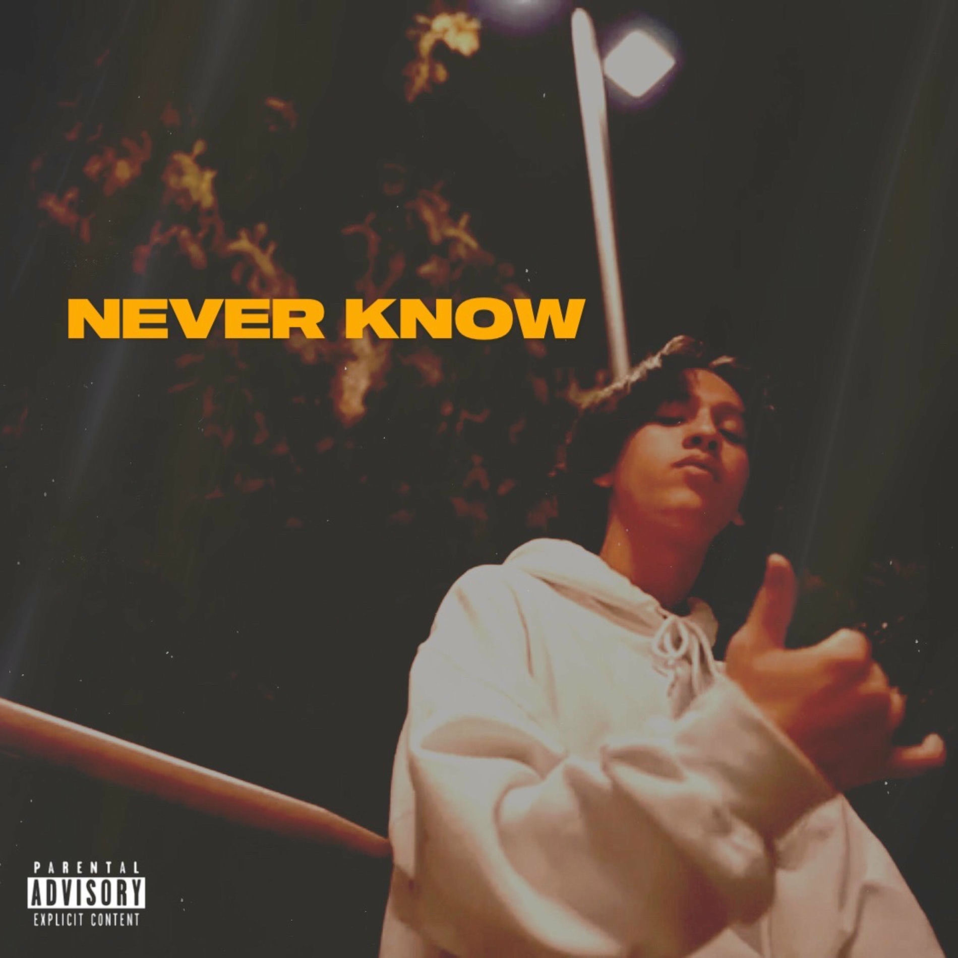 Album cover of Never Know