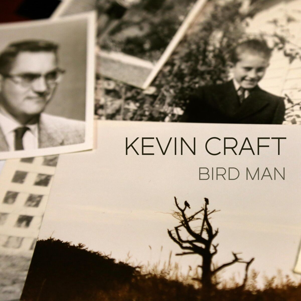 Album cover of Bird Man