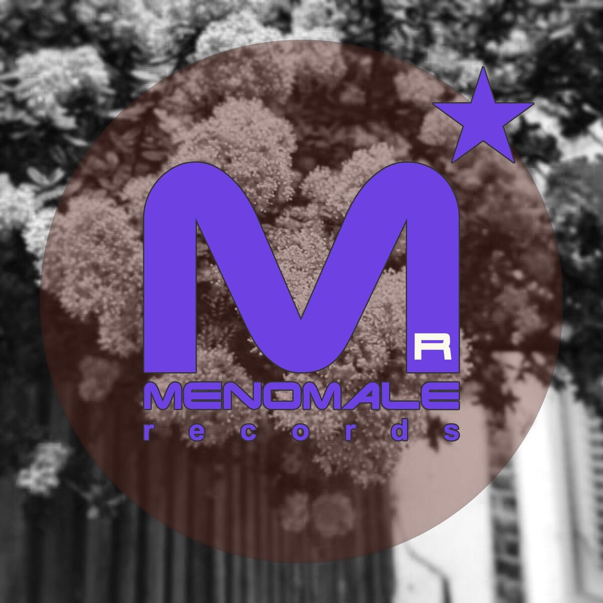 Album cover of Menostar, Vol. 29