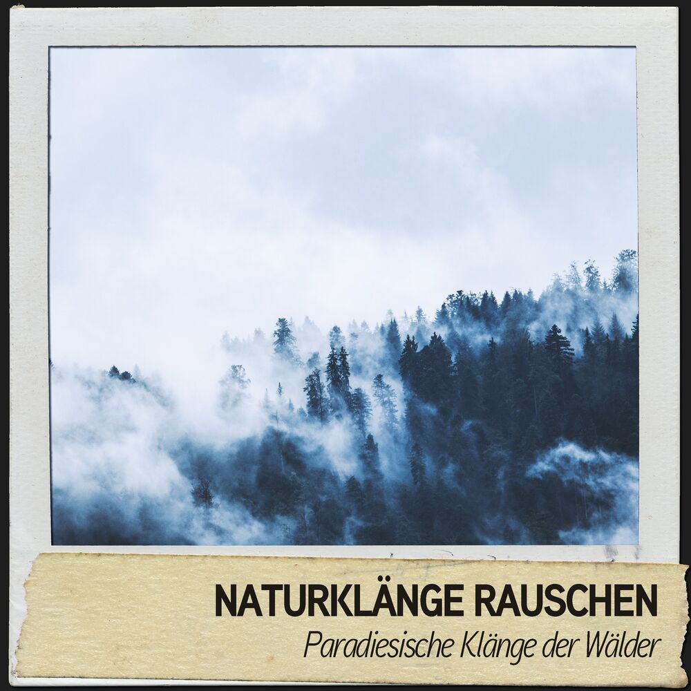 Picture of Naturklänge Rauschen: Paradiesische Klänge der Wälder