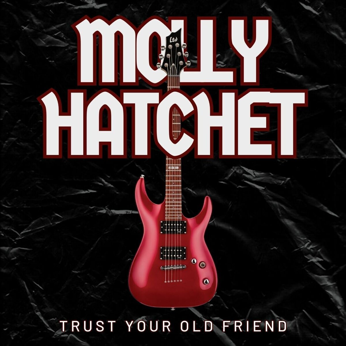 Album cover of Trust Your Old Friend