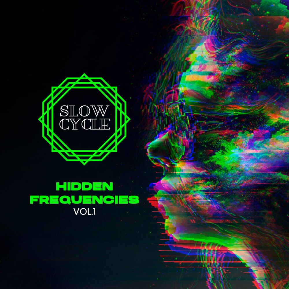 Picture of Hidden Frequencies, Vol. 1