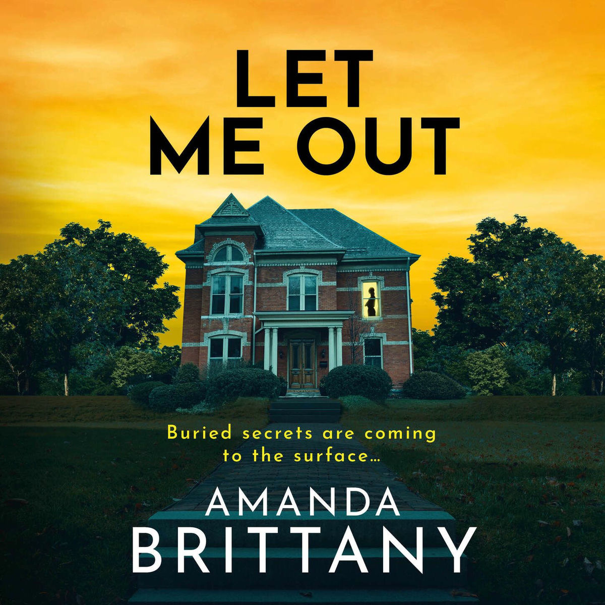 Album cover of Chapter 1 - Let Me Out - A BRAND NEW relentlessly gripping psychological thriller from Amanda Brittany for 2025