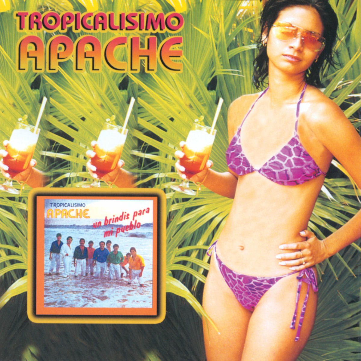 Album cover of Un Brindis Para Mi Pueblo