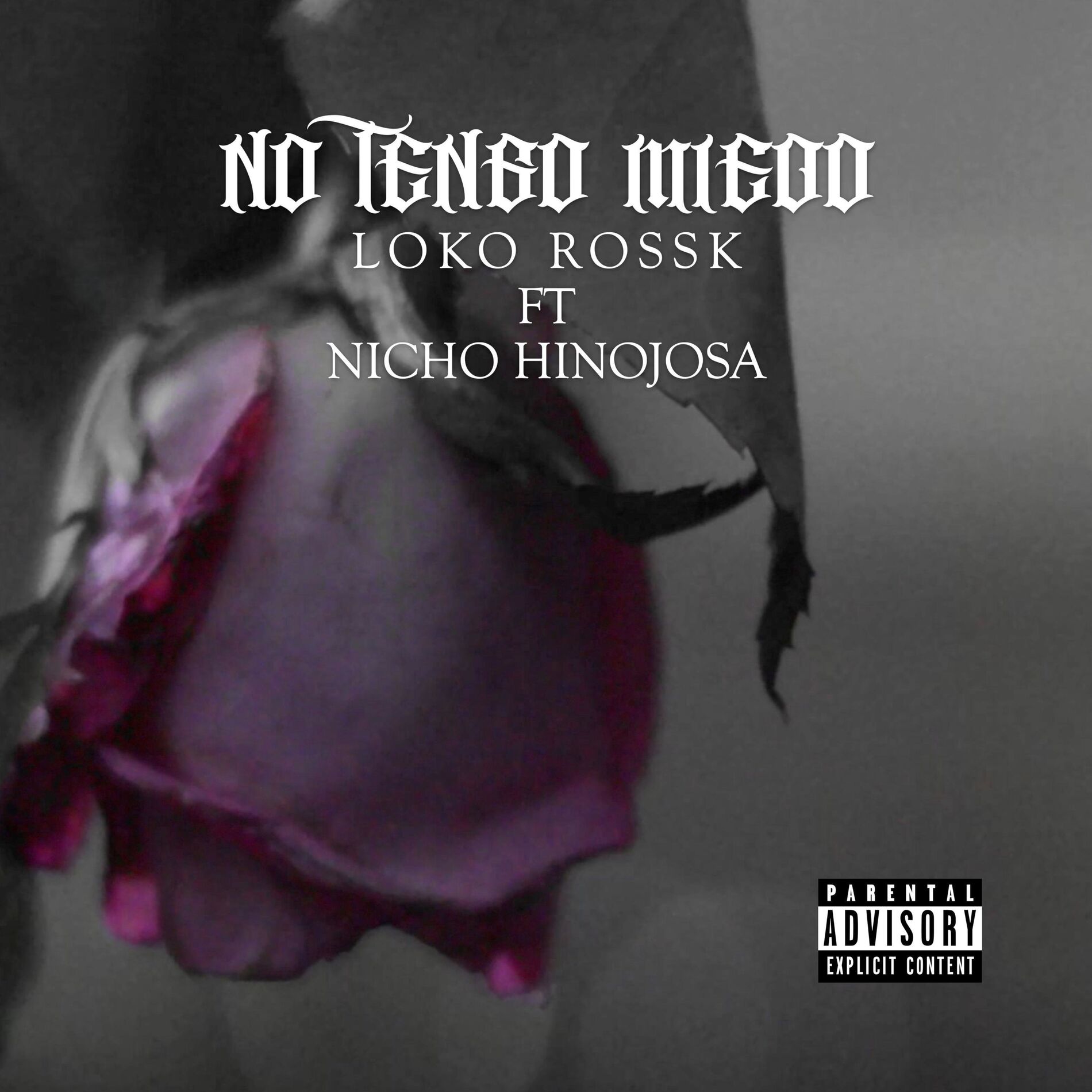 Album cover of No Tengo Miedo (feat. Loko Rossk & Nicho Hinojosa)
