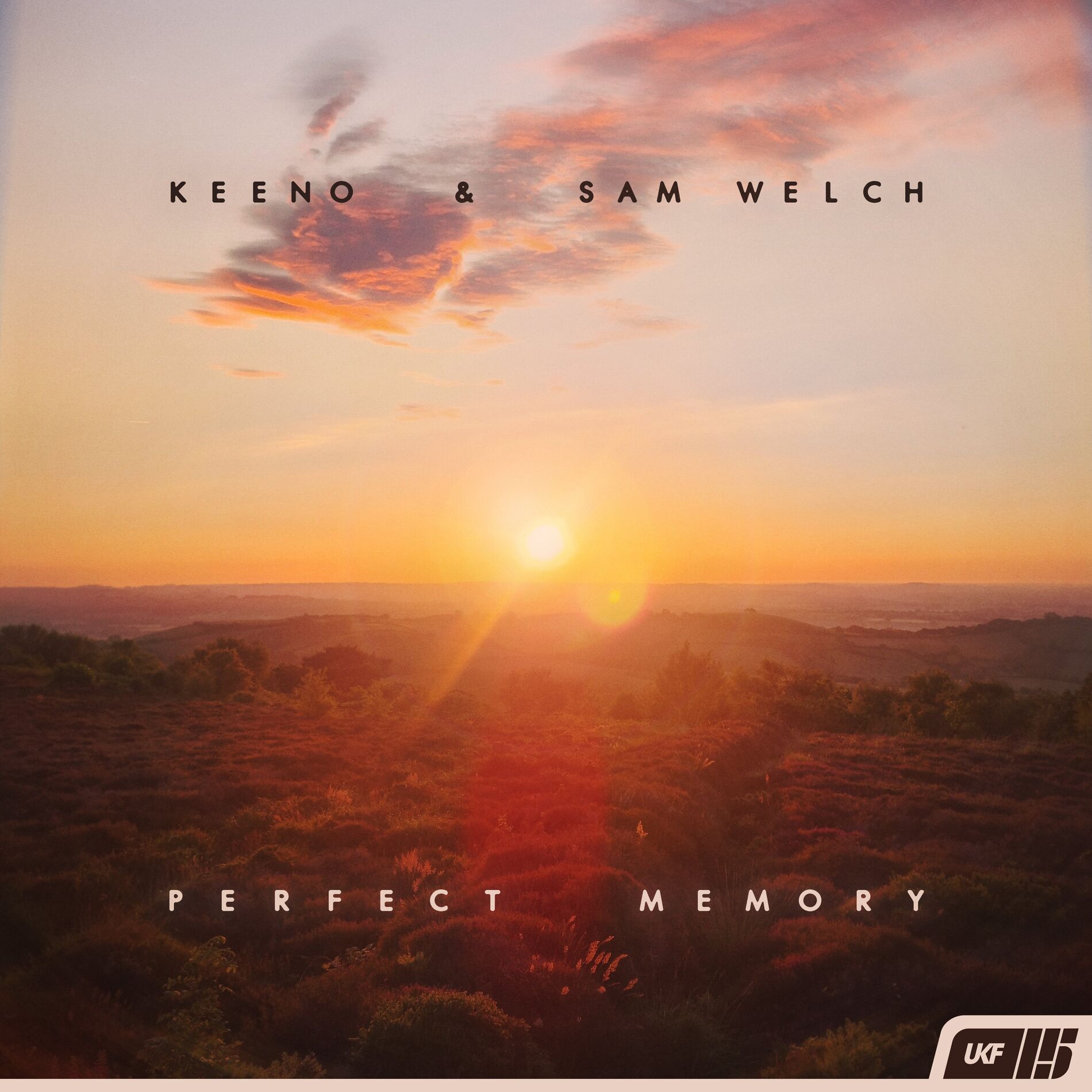 Album cover of Perfect Memory
