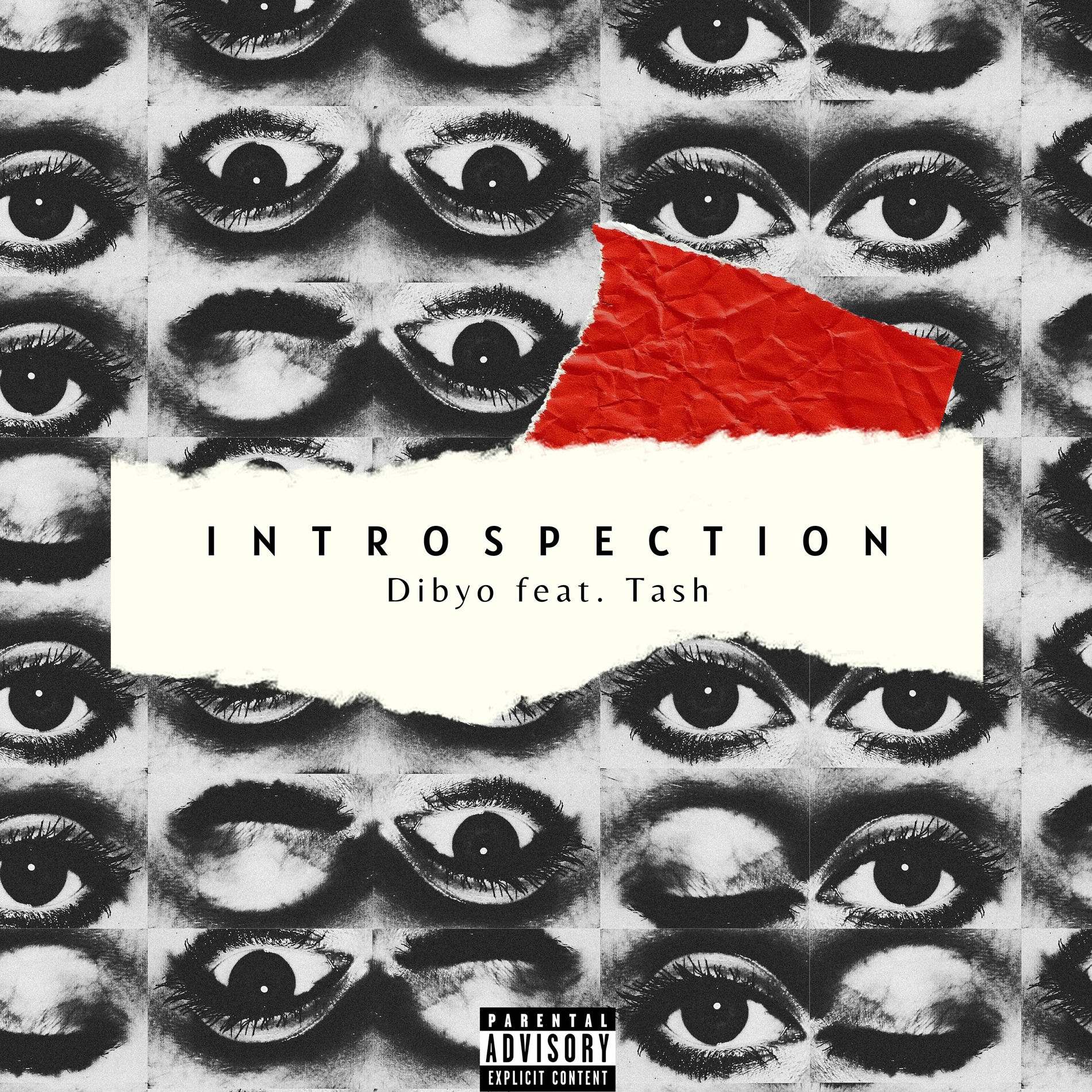 Album cover of Introspection (feat. Tash)