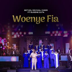 Cover of Woenye Fia