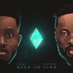 Cover of Hard to Find
