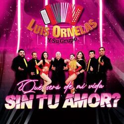 Cover of ¿Qué Será De Mi Vida Sin Tu Amor?