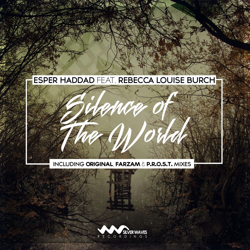 Picture of Silence of The World