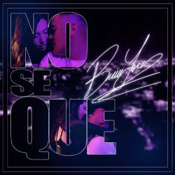 Cover of No Se Que
