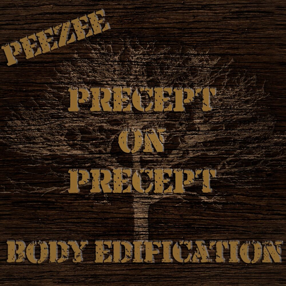 Picture of Precept on Precept Body Edification