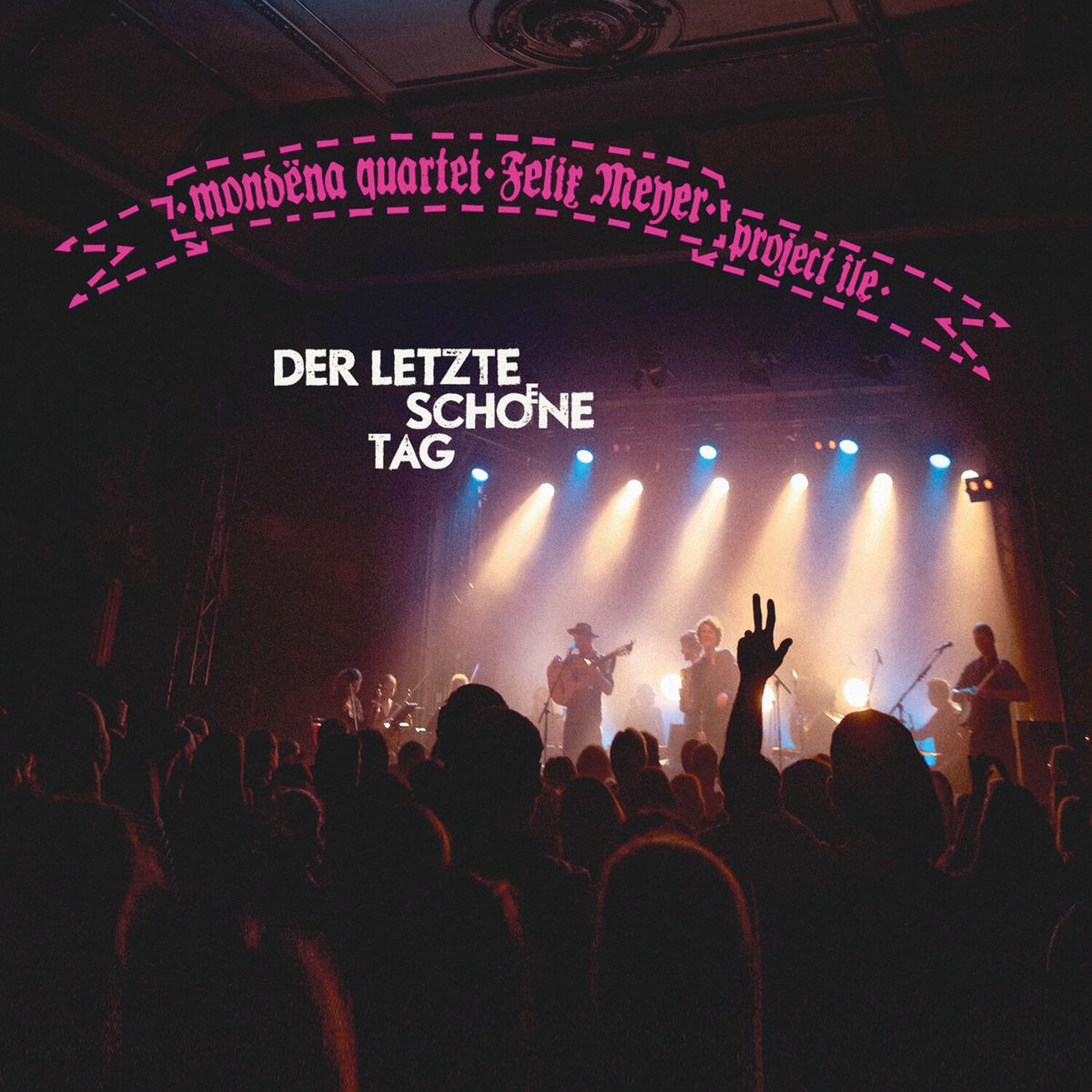 Album cover of Der letzte schoene Tag
