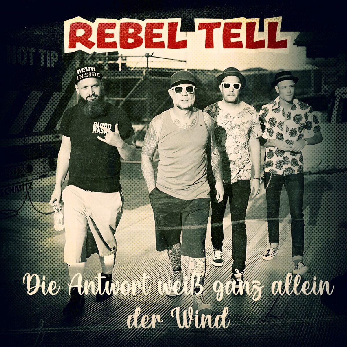 Album cover of Die Antwort weiß ganz allein der Wind