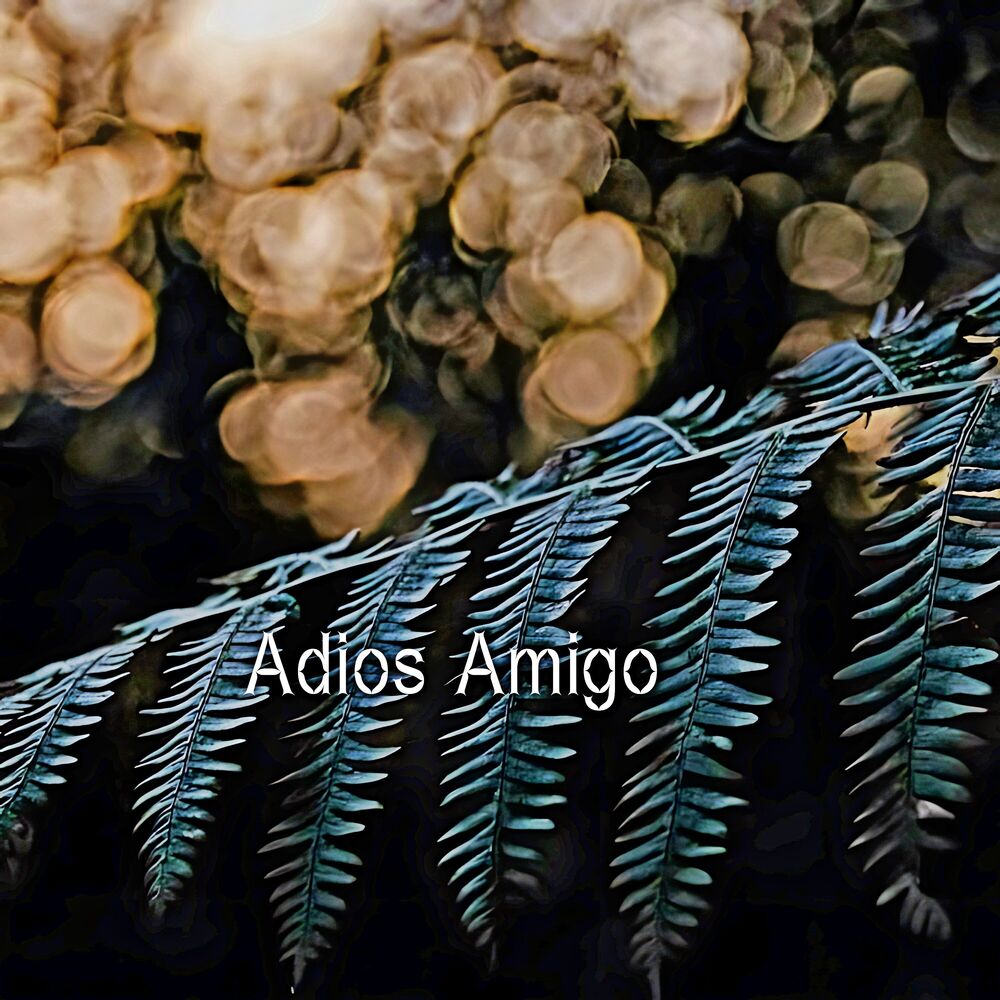Picture of Adios Amigo