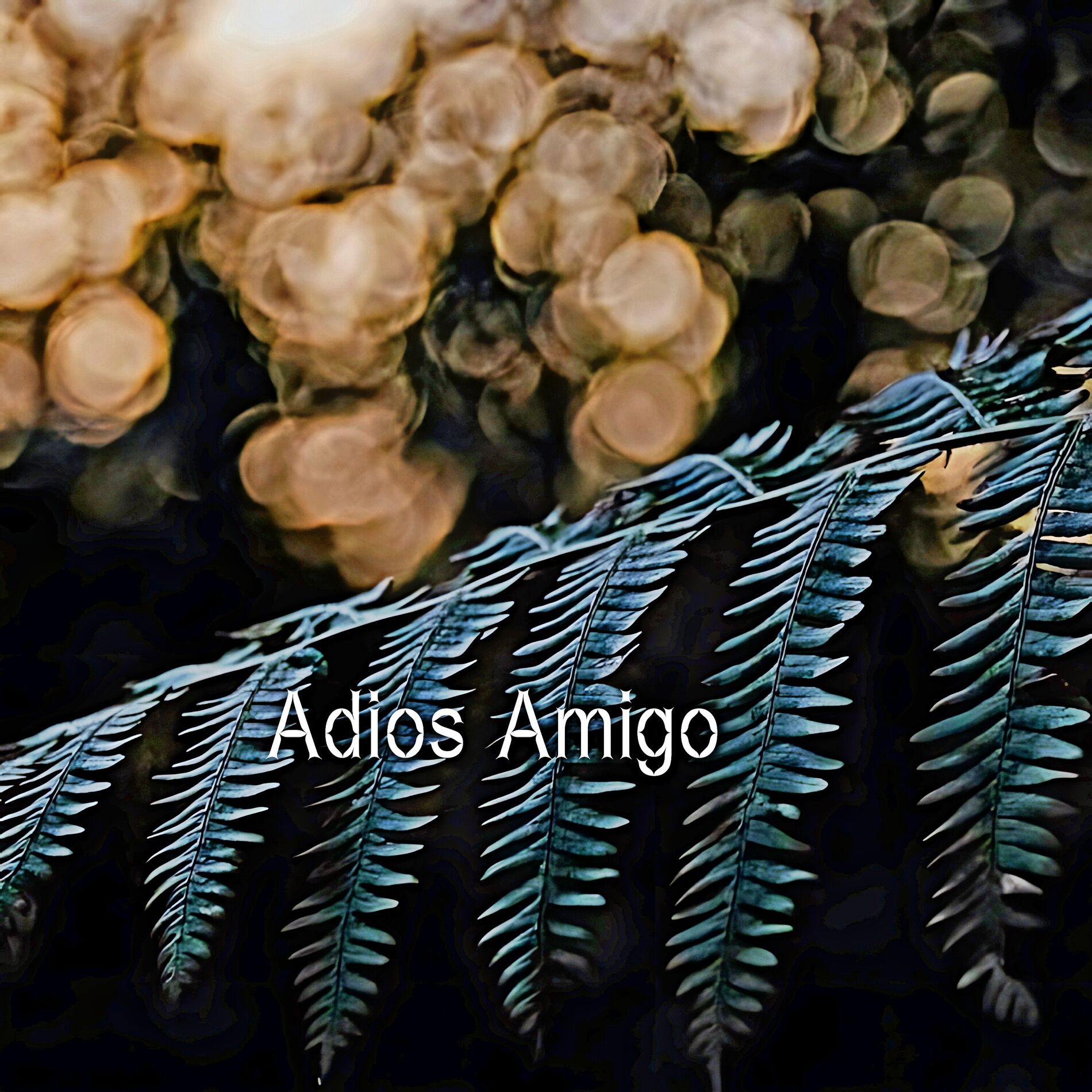 Album cover of Adios Amigo