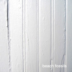 Cover of Beach Fossils