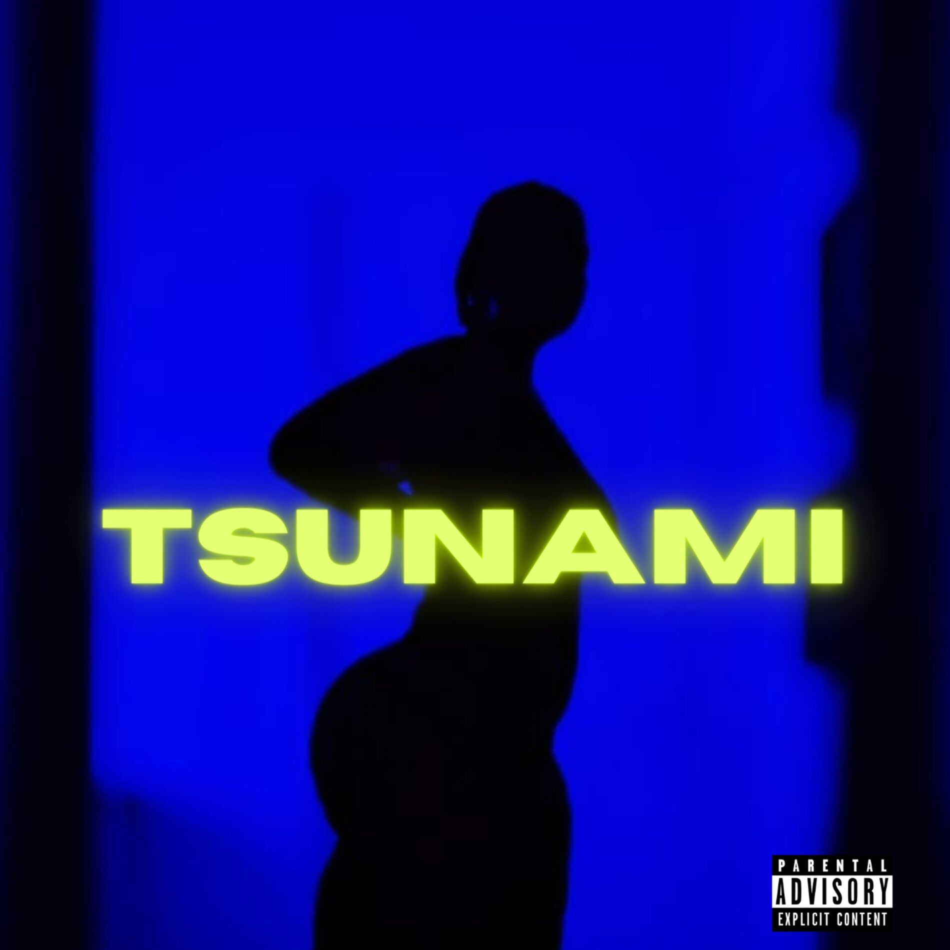 Album cover of Tsunami