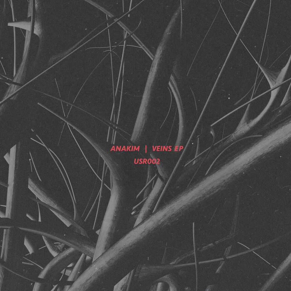 Picture of Veins EP
