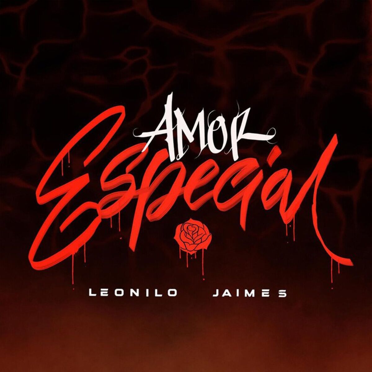 Album cover of Amor Especial