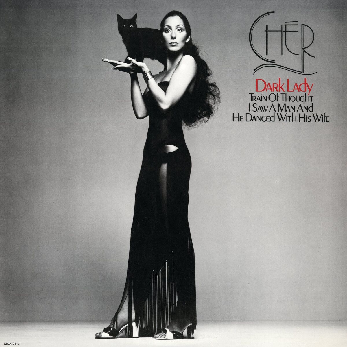 Album cover of Dark Lady