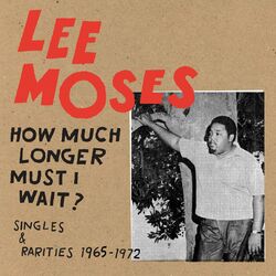 How Much Longer Must I Wait? (Singles & Rarities 1965-1972)