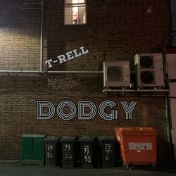 Cover of Dodgy